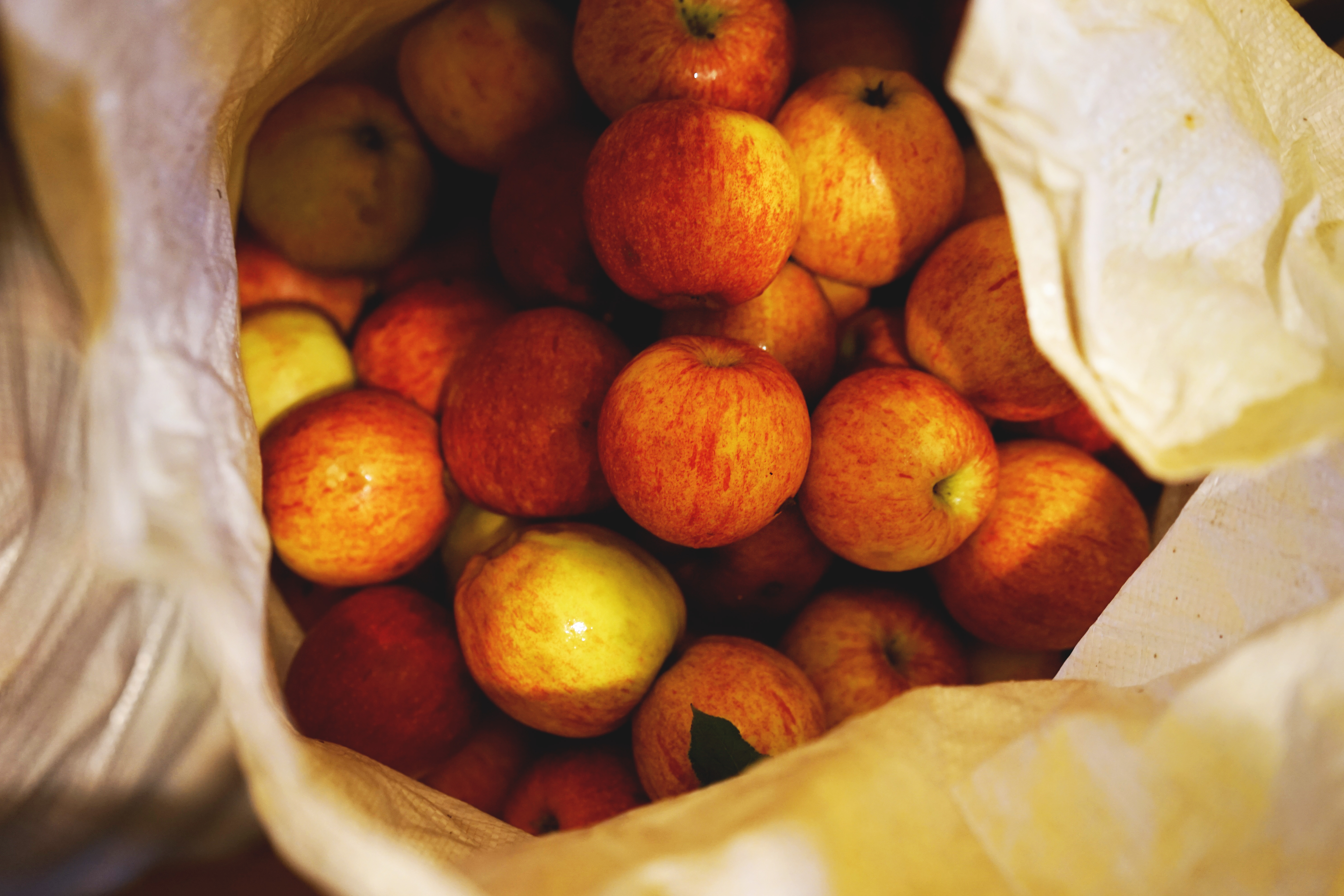 Duckchicken Apple Sacks 005